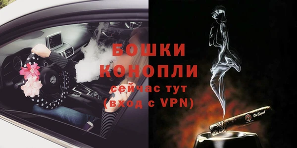 спайс Нея