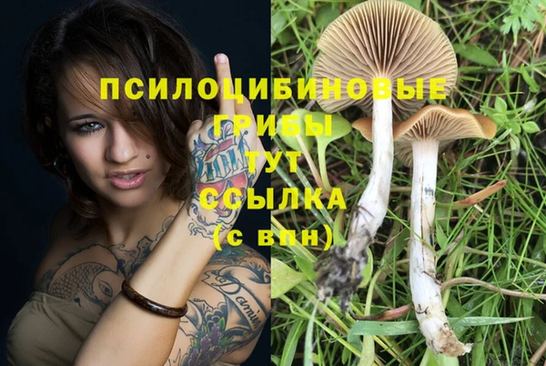 спайс Нея