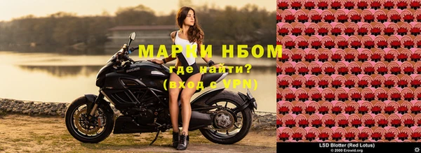 спайс Нея